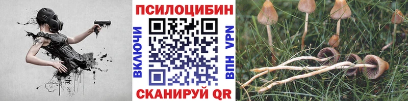 Псилоцибиновые грибы MAGIC MUSHROOMS  Азнакаево 